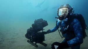 Tiburones De Cerca Con Bertie Gregory — foto 8