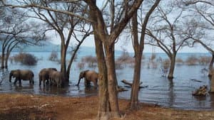 Le lac Tanganyika, la source de vie de l'Afrique — foto 1