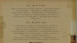 Stephan Eicher - Non Ci Badar...Guarda E Passa  (live at Carcassonne) — foto 1