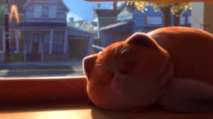 Kid Cat — foto 5