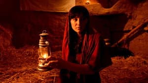 ساغ ها دیشاب نا خوابیده — foto 3