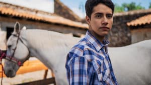 La serenata de los machos