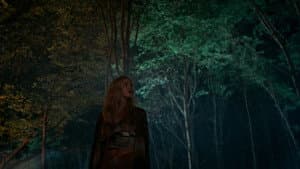 Wolf Pack — foto 11