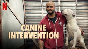 Adiestramiento canino — foto 4