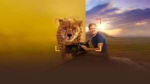 Cheetahs Up Close with Bertie Gregory — foto 8