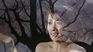 三人の女　夜の蝶 — foto 1