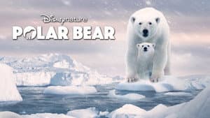 Osa Polar — foto 5