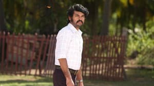 சார் — foto 8