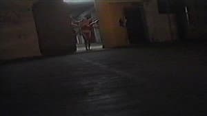 Limbo — foto 5