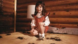 Kingdom of the Spiders — foto 10