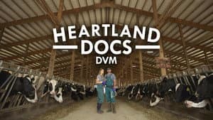 Veterinarios de Heartland — foto 3