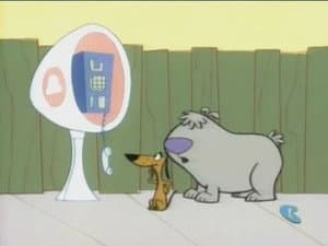 Episodio 16