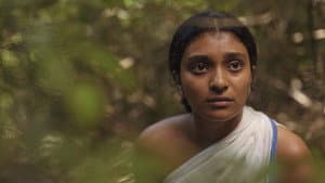 ගාඩි — foto 2
