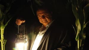 الأصليين — foto 11