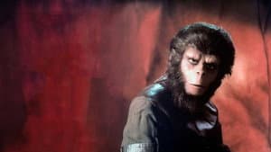 « La Planète des singes » : une odyssée de l'espèce — foto 1