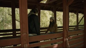 Las cuatro estaciones — foto 11