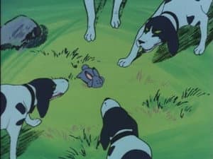 Episodio 14