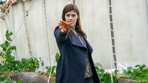 Episodio 8