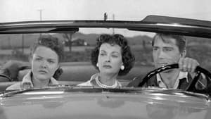Highway Dragnet — foto 3