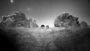 The Conquerors — foto 3