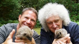 Meet the Hedgehogs — foto 1