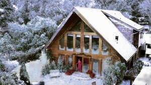 A Snow Globe Christmas — foto 7