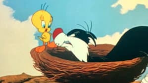 Tweet Tweet Tweety — foto 2