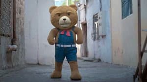 Teddy — foto 4