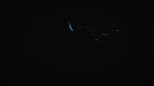 Mycélium — foto 5