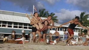 Gidget Goes Hawaiian — foto 3