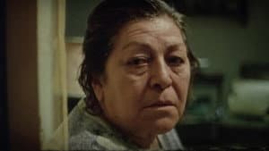 Rosa — foto 1