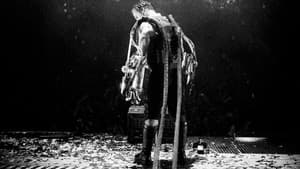 Rammstein: Völkerball — foto 3