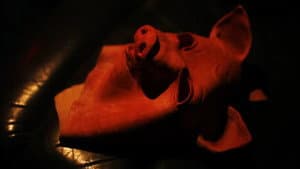 Pig Man — foto 1