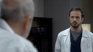 Episodio 8