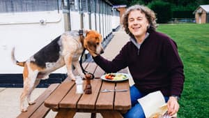 The Dog Rescuers with Alan Davies — foto 1