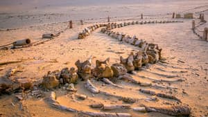 Egypt's Secret Valley of the Whales — foto 1