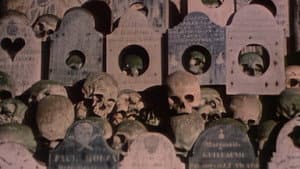 Faces of Death II — foto 3