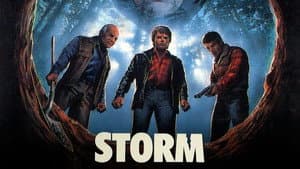 Storm — foto 3