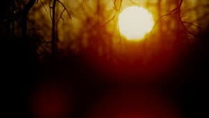 The Legend of Boggy Creek — foto 8