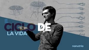 Nanutria: El ciclo de la vida — foto 1
