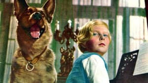 The Wonder Kid — foto 1