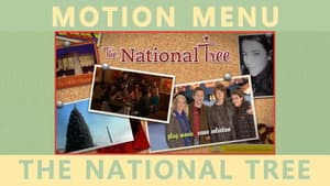 The National Tree — foto 2