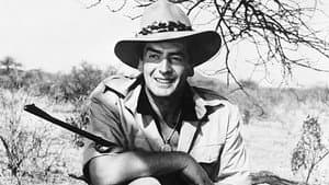 Safari — foto 5
