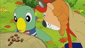 Episodio 29