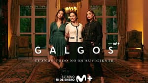 Galgos — foto 6