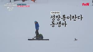 Episodio 5