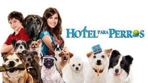 Hotel para Perros — foto 7