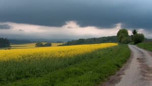 Zpět k pramenům — foto 3