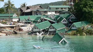 Tsunamis: Carrera contra el tiempo — foto 2