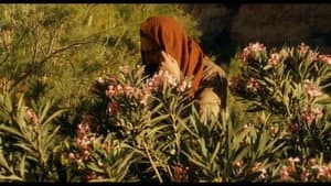 Histoire de Judas — foto 2